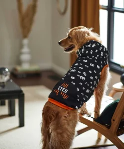 Frisco Glow in the Dark "All Eyes On Me" Dog & Cat Hoodie -Pet Food Gear Shop 261155 PT6. SY630 V1633070502