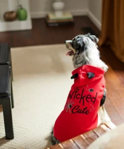 Frisco Wicked Cute Dog & Cat Hoodie -Pet Food Gear Shop 261158 PT8. SY630 V1624398178