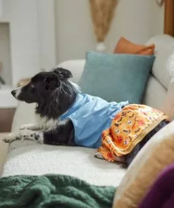 Frisco Chambray Halloween Dog & Cat Dress -Pet Food Gear Shop 261165 PT8. SY630 V1624401787