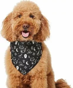 Frisco Glow in the Dark Mystical Print Dog & Cat Bandana -Pet Food Gear Shop 261218 PT3. SY630 V1633068720