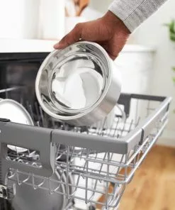 Frisco Insulated Non-Skid Flair Stainless Steel Dog & Cat Bowl, Stainless Steel -Pet Food Gear Shop 261753 PT6. SY630 V1623937476