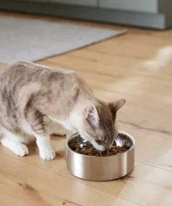 Frisco Insulated Non-Skid Flair Stainless Steel Dog & Cat Bowl, Stainless Steel -Pet Food Gear Shop 261753 PT7. SY630 V1623937560