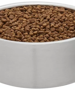 Frisco Insulated Non-Skid Stainless Steel Dog & Cat Bowl, Stainless Steel -Pet Food Gear Shop 261756 PT2. SY630 V1623937499