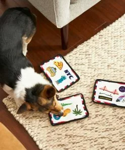 Frisco Road Trip Postcards Flat Plush Squeaky Dog Toy, 3 count -Pet Food Gear Shop 262005 PT3. SY630 V1618598296