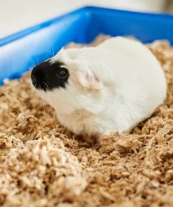 Frisco Small Pet Bedding, Natural, 2 pack, 36-L -Pet Food Gear Shop 263928 PT5. SY630 V1625589904