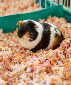 Frisco Small Pet Bedding, Multi-Colored, 56-L -Pet Food Gear Shop 263930 PT5. SY630 V1625586911