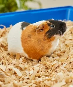 Frisco Aspen Wood Small Pet Bedding, 141-L -Pet Food Gear Shop 263936 PT5. SY630 V1625586334