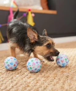 Frisco Birthday Tennis Ball Squeaky Dog Toy, 3 count -Pet Food Gear Shop 264419 PT3. SY630 V1619474144