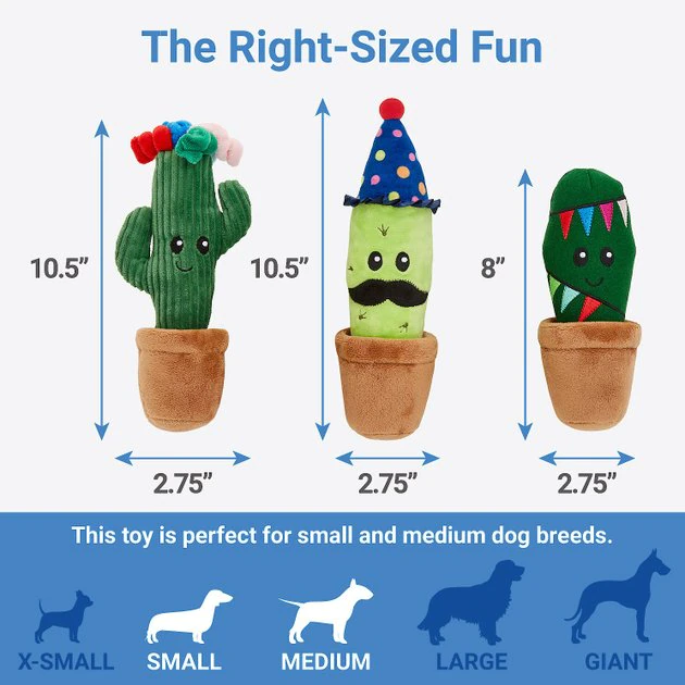 Frisco Birthday Cactus Plush Squeaky Dog Toy, 3 count 4 Frisco Birthday Cactus Plush Squeaky Dog Toy, 3 count - Image 2
