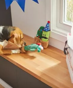 Frisco Birthday Cactus Plush Squeaky Dog Toy, 3 count 7 Frisco Birthday Cactus Plush Squeaky Dog Toy, 3 count -Pet Food Gear Shop 264426 PT3. SY630 V1619474032