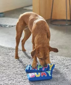 Frisco Happy Birthday Plush Dog Toy -Pet Food Gear Shop 264428 PT3. SY630 V1619474117