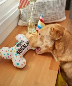 Frisco Birthday Reversible Plush Bone Squeaky Dog Toy -Pet Food Gear Shop 264432 PT3. SY630 V1619474112