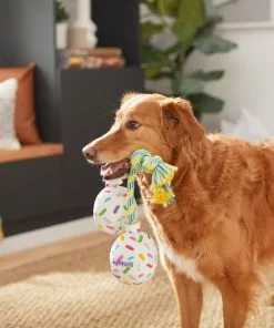 Frisco Birthday Balloon Bouquet Plush with Rope Squeaky Dog Toy -Pet Food Gear Shop 264440 PT3. SY630 V1619474100