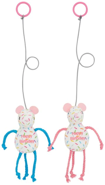 Frisco Birthday Bouncy Mouse Cat Toy, 2 count 3 Frisco Birthday Bouncy Mouse Cat Toy, 2 count