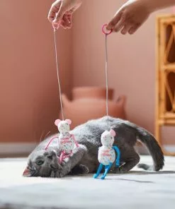 Frisco Birthday Bouncy Mouse Cat Toy, 2 count 7 Frisco Birthday Bouncy Mouse Cat Toy, 2 count -Pet Food Gear Shop 264450 PT3. SY630 V1618948718