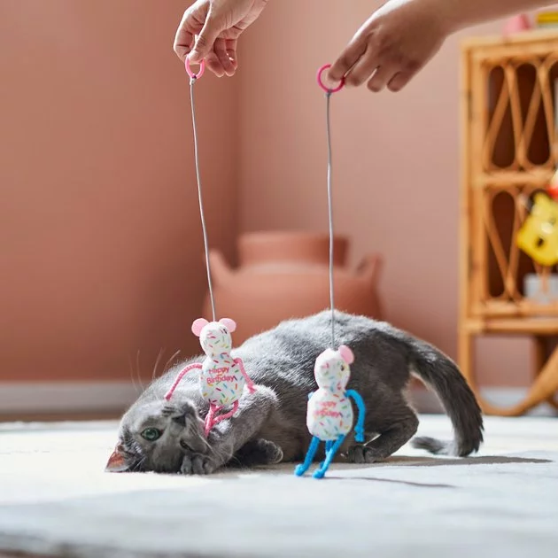 Frisco Birthday Bouncy Mouse Cat Toy, 2 count 5 Frisco Birthday Bouncy Mouse Cat Toy, 2 count - Image 3