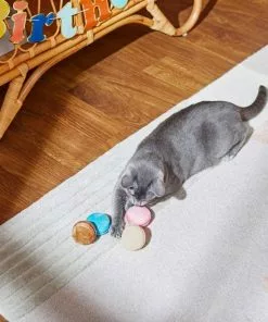 Frisco Macaron Cat Toy with Catnip, Small, 4 count -Pet Food Gear Shop 264458 PT3. SY630 V1618948769