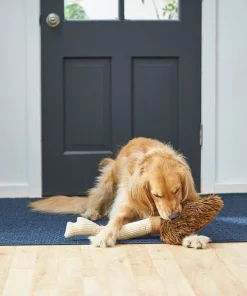 Frisco Magic Broom Plush Squeaky Dog Toy -Pet Food Gear Shop 265598 PT3. SY630 V1620938980