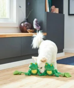 Frisco Magic Frog Plush with Rope Squeaky Dog Toy -Pet Food Gear Shop 265606 PT3. SY630 V1620938889
