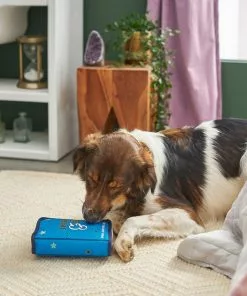 Frisco Magic Spell Book Plush Squeaky Dog Toy 7 Frisco Magic Spell Book Plush Squeaky Dog Toy -Pet Food Gear Shop 265608 PT3. SY630 V1620939089