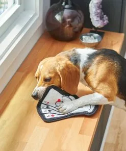 Frisco Magic Lucky Aces Flat Plush Squeaky Dog Toy -Pet Food Gear Shop 265612 PT3. SY630 V1620938989