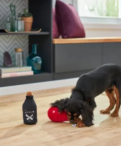 Frisco Magic Potions Plush Squeaky Dog Toy -Pet Food Gear Shop 265618 PT3. SY630 V1620939183