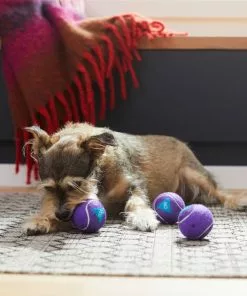 Frisco Magic Fortune Fetch Squeaky Tennis Ball Dog Toy, 3 count -Pet Food Gear Shop 265620 PT3. SY630 V1623352072