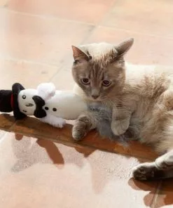 Frisco Magic Dove Plush Kicker Cat Toy with Catnip 7 Frisco Magic Dove Plush Kicker Cat Toy with Catnip -Pet Food Gear Shop 265646 PT3. SY630 V1620938924