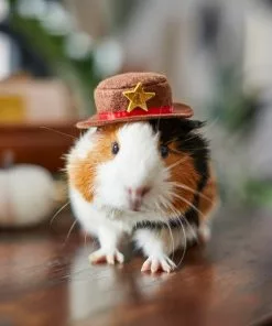 Frisco Cowboy Guinea Pig Costume Hat, One Size -Pet Food Gear Shop 265889 PT8. SY630 V1624454639