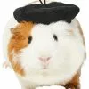 Frisco French Beret Guinea Pig Costume Hat, One Size -Pet Food Gear Shop 265891 MAIN. SY630 V1624305182