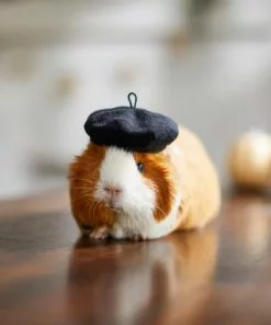 Frisco French Beret Guinea Pig Costume Hat, One Size -Pet Food Gear Shop 265891 PT8. SY630 V1624337078