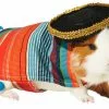 Frisco Serape Guinea Pig Costume, One Size -Pet Food Gear Shop 265895 MAIN. SY630 V1624304603