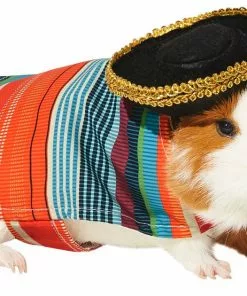 Frisco Serape Guinea Pig Costume, One Size