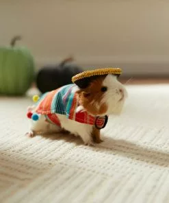 Frisco Serape Guinea Pig Costume, One Size -Pet Food Gear Shop 265895 PT8. SY630 V1624341275