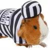 Frisco Prisoner Guinea Pig Costume, One Size -Pet Food Gear Shop 265897 MAIN. SY630 V1624304868
