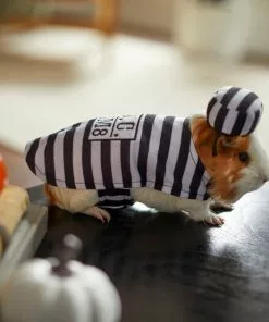 Frisco Prisoner Guinea Pig Costume, One Size 13 Frisco Prisoner Guinea Pig Costume, One Size -Pet Food Gear Shop 265897 PT8. SY630 V1624339171