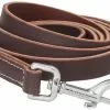 Frisco Top Grain Leather Leash -Pet Food Gear Shop 266521 MAIN. SY630 V1618855319