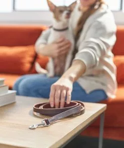 Frisco Top Grain Leather Leash -Pet Food Gear Shop 266521 PT3. SY630 V1619536628