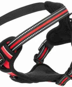 Frisco Padded Reflective Harness -Pet Food Gear Shop 266762 PT4. SY630 V1624549109