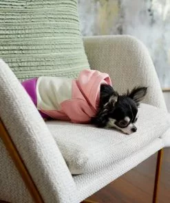 Frisco Colorblock Dog & Cat Hoodie with Sleeves -Pet Food Gear Shop 267963 PT6. SY630 V1637683593