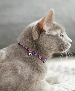 Frisco Midnight Floral Cat Collar, 8-12 Inches 10 Frisco Midnight Floral Cat Collar, 8-12 Inches -Pet Food Gear Shop 269490 PT4. SY630 V1617037508