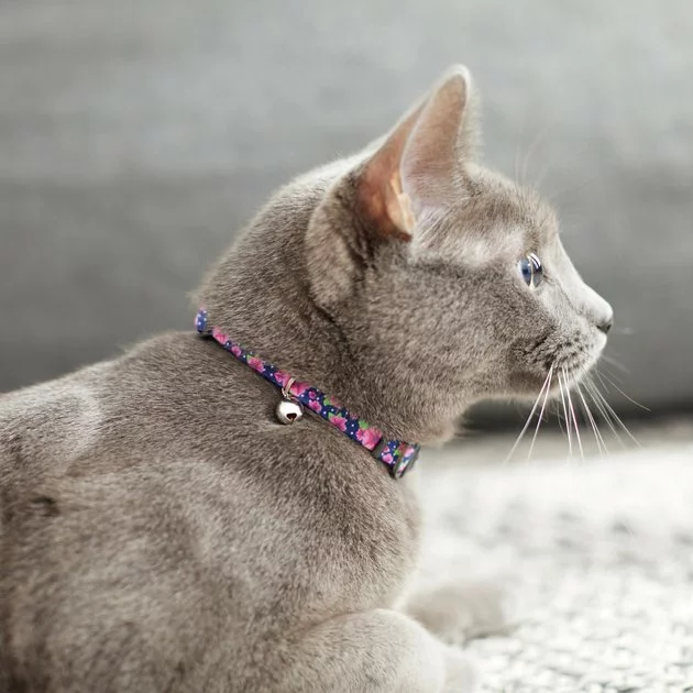 Frisco Midnight Floral Cat Collar, 8-12 Inches 6 Frisco Midnight Floral Cat Collar, 8-12 Inches - Image 4
