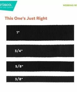 Frisco Spring Reef Life Collar, 8-12 Inches -Pet Food Gear Shop 269500 PT6. SY630 V1629992562