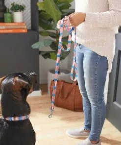 Frisco Americana Dog Leash -Pet Food Gear Shop 269502 PT3. SY630 V1619536665