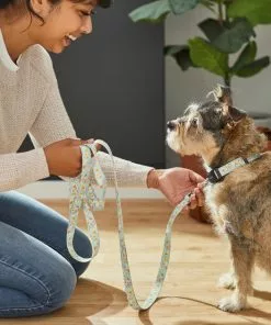 Frisco Ice Cream Party Dog Leash -Pet Food Gear Shop 269549 PT3. SY630 V1619537401