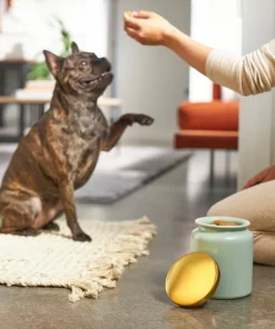 Frisco Modern Gold Rim Ceramic Treat Jar, 5 Cups -Pet Food Gear Shop 270182 PT2. SY630 V1620761610