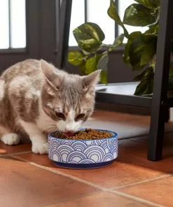 Frisco Blue Oriental Non-skid Ceramic Dog & Cat Bowl 12 Frisco Blue Oriental Non-skid Ceramic Dog & Cat Bowl -Pet Food Gear Shop 270203 PT3. SY630 V1620761636