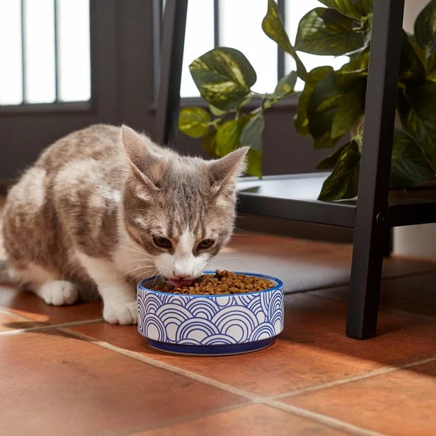 Frisco Blue Oriental Non-skid Ceramic Dog & Cat Bowl 6 Frisco Blue Oriental Non-skid Ceramic Dog & Cat Bowl - Image 4