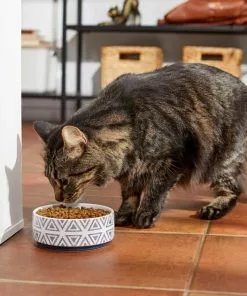 Frisco Tribal Aztec Non-skid Ceramic Dog & Cat Bowl -Pet Food Gear Shop 270217 PT3. SY630 V1620762202