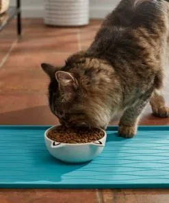 Frisco Cat Face Non-skid Ceramic Dog Bowl, White, 1.25 Cups 9 Frisco Cat Face Non-skid Ceramic Dog Bowl, White, 1.25 Cups -Pet Food Gear Shop 270229 PT3. SY630 V1620762318